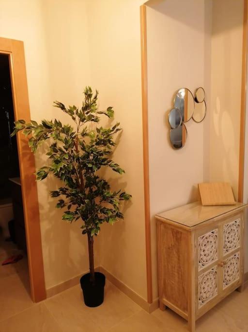 דירות קרטחנה Atico Duque Gran Terraza Parking Free מראה חיצוני תמונה